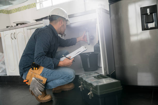 Best Plumbing Inspection Services  in Rockwood, MI