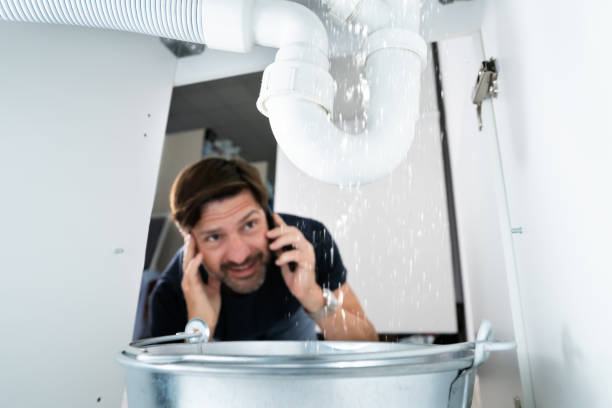 Best Toilet Repair Services  in Rockwood, MI