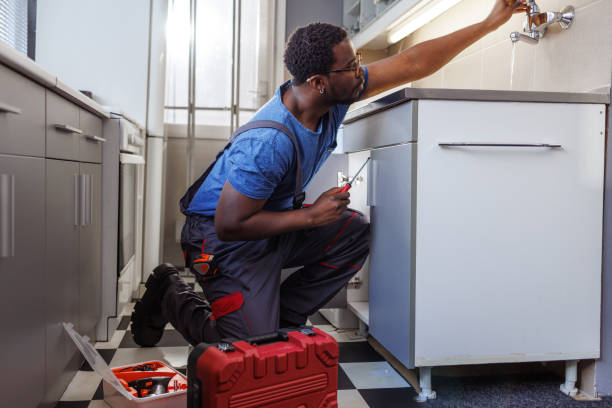 Best Affordable Plumbing Services  in Rockwood, MI